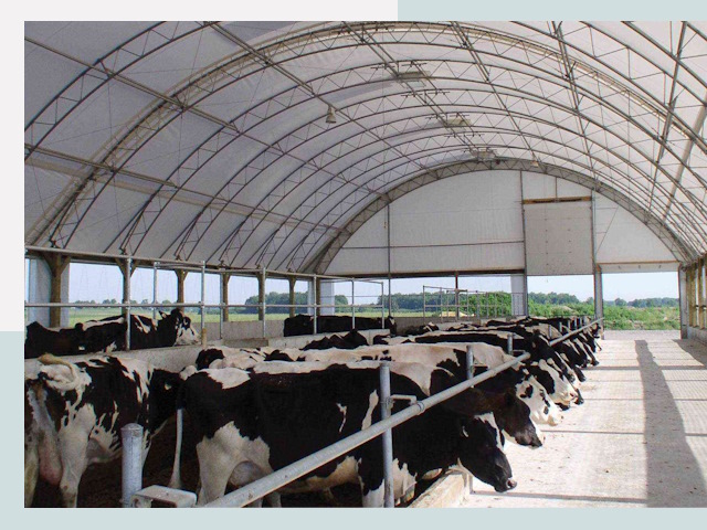 Тентовые коровники в Балашихе